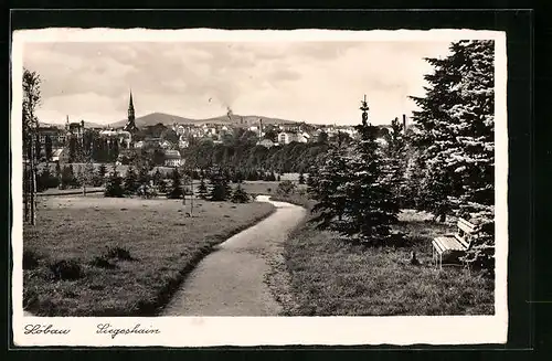 AK Löbau i. S., Ortsblick vom Siegeshain aus