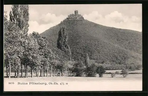 AK Pflixsburg, Blick zur Ruine