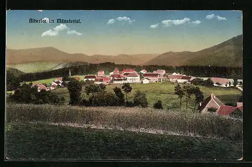 AK Altweiler /Münstertal, Panorama mit Gebirge