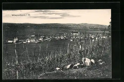 AK Winzenheim, Totalansicht vom Weinberg aus