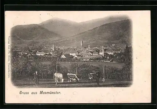 AK Masmünster, Panorama