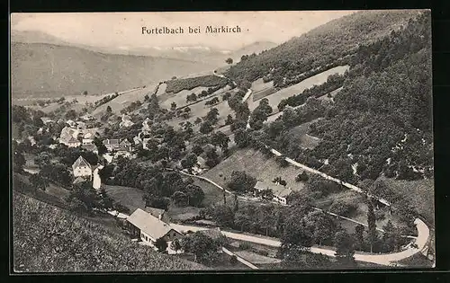 AK Fortelbach bei Markirch, Ortsansicht aus der Vogelschau