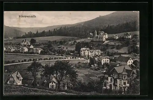 AK Herrenalb, Ortsansicht aus der Vogelschau