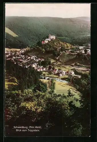 AK Schwarzburg /Thür. Wald, Blick vom Trippstein auf den Ort