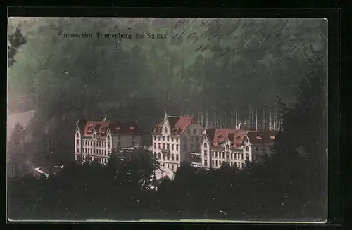 AK Saales, Sanatorium Tannenberg