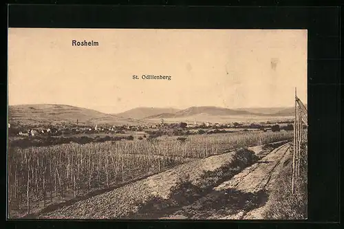 AK Rosheim, Ortspanorama mit St. Odilienberg