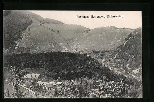 AK Niederbronn, Forsthaus Herrenberg (Münstertal)