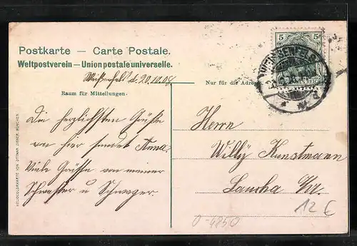 AK Weissenfels, Partie am Stadtgarten