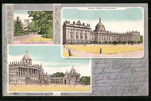 AK Potsdam, Neues Palais, Westseite, Eingang zum Wildpark, Communs vor dem Neuen Palais