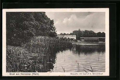 AK Harnecop /Mark, Seepartie mit Gasthof E. Schwarzkopf