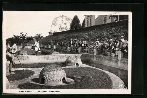 AK Sao Paulo, Instituto Butantan