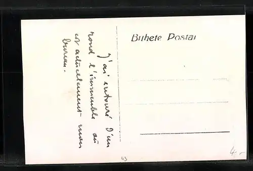 AK Rio de Janeiro, Panorama