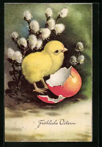 AK Osterküken neben Weidenkätzchen
