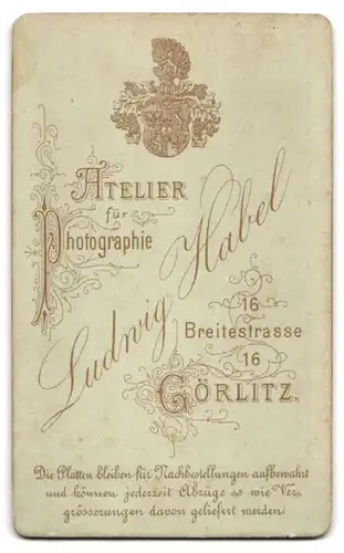 Fotografie Ludwig Habel, Görlitz, Breitestrasse 16, Junger Mann mit schmalen Augen