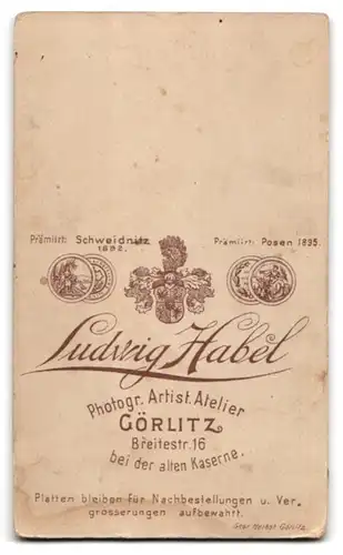 Fotografie Ludwig Habel, Görlitz, Breitestrasse 16, Junge Frau im bestickten Kleid