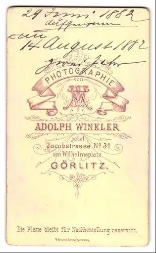 Fotografie A. Winkler, Görlitz, Jacobstrasse 31, Mädchen im bestickten Kleid