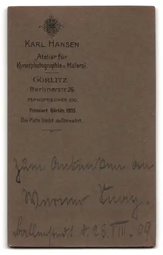 Fotografie Karl Hansen, Görlitz, Berlinerstrasse 26, Jüngling mit Krawatte