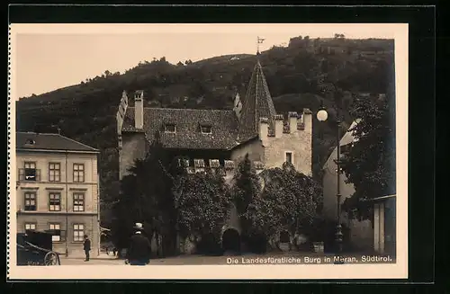 AK Meran, landesfürstliche Burg