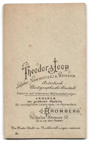 Fotografie Th. Joop, Bromberg, Wilhelmstrasse 15, Bürgerliche im gemusterten Kleid