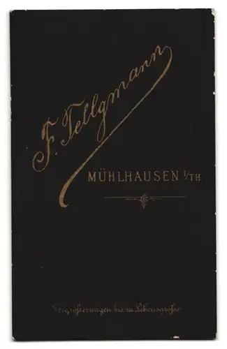 Fotografie F. Tellgmann, Mühlhausen i /Th., Junger Herr im Anzug mit Fliege