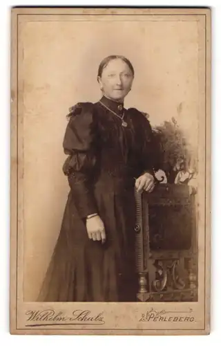 Fotografie Wilhelm Schulz, Perleberg, Wittenbergerstr. 12, Bürgerliche Dame im Kleid mit Medaillon