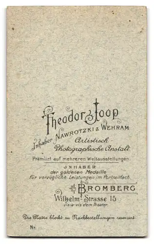 Fotografie Theodor Joop, Bromberg, Wilhelm-Strasse 15, Lächelnde junge Dame mit dunklen Locken in gemusterter Bluse