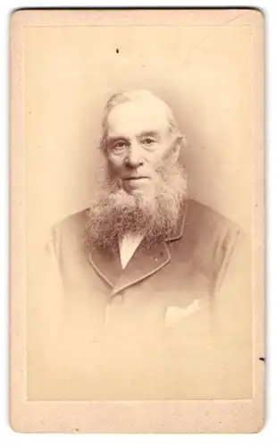 Fotografie F. Treble, Norwich, Victoria Hall, Portrait betagter Herr mit Rauschebart