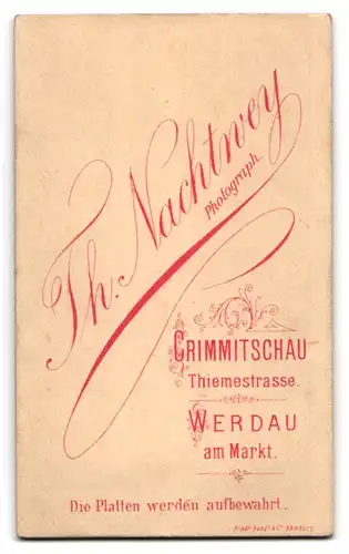 Fotografie Th. Nachtwey, Crimmitschau, Thiemestrasse, Mädchen im taillierten Kleid mit Streifenmuster