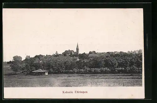 AK Elfringen, Kolonie