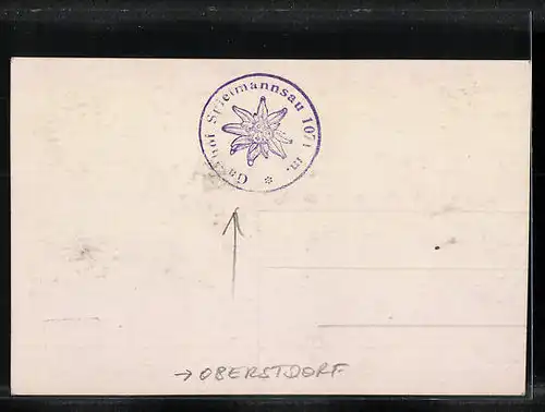 AK Oberstdorf, Gasthaus u. Pension Spielmannsau