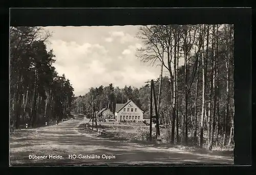 AK Oppin /Dübener Heide, Strassenpartie mit der HO-Gaststätte
