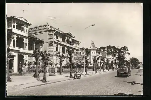 AK Sellin /Rügen, Wilhelm-Pieck-Strasse mit Bäumen