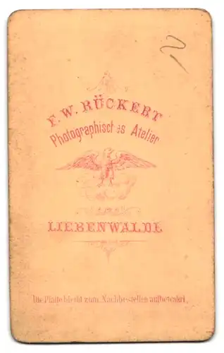 Fotografie F. W. Rückert, Liebenwalde, Dame mit stämmiger Statur