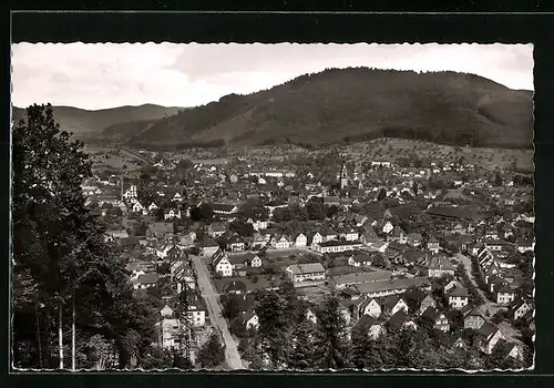 AK Haslach /Schwarzw., Ortsansicht aus der Vogelschau