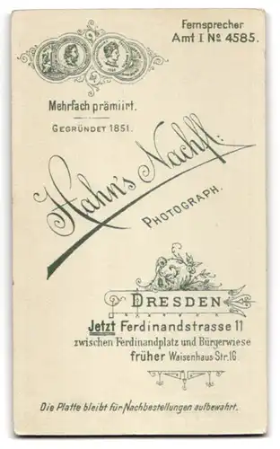 Fotografie Hahn`s Nachfl., Dresden, Ferdinandstr. 11, Junge Dame mit Hochsteckfrisur