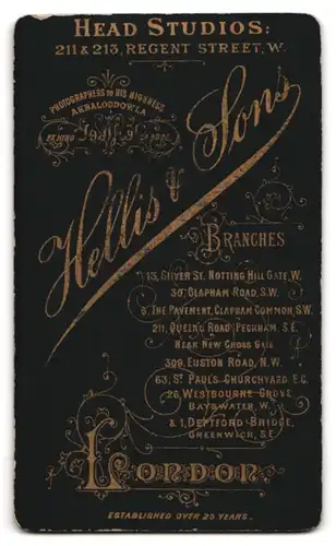Fotografie Hellis & Sons, London, 211. & 213. Regent Street, Dame im plissierten Gewand mit weissem Kragen