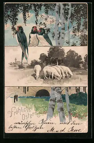 AK Ostergruss mit Schwalben, Birken und Schafen