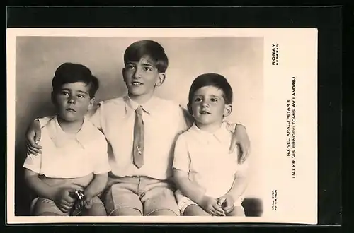 AK Nj. Vel. Kralj Petar II. i Nj. Kr. Vis. Princevi Tomislav i. Andrej von Serbien