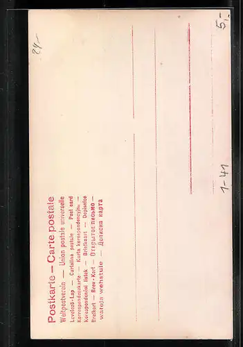 AK Hermann Sudermann mit Vollbart