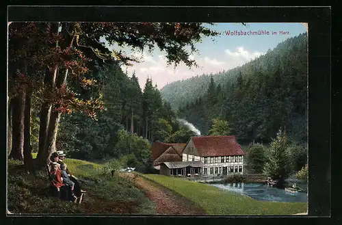 AK Wolfsbachmühle /Harz, Blick gegen Gasthaus