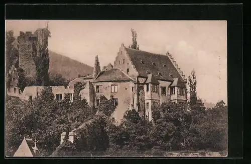 AK Miltenberg, Die Alte Burg