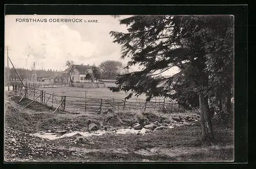AK Oderbrück /H., Blick gegen Forsthaus