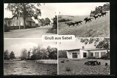 AK Sabel /Güstrow, Pferdekoppel, Kulturhaus, Hohen Sprenzer See