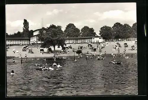 AK Rheinsberg /Mark, Badegäste im Freibad am Grienericksee