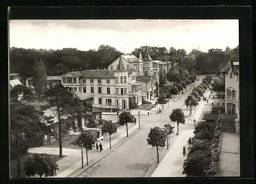 AK Zinnowitz auf Usedom, Karl-Marx-Strasse mit Bäumen
