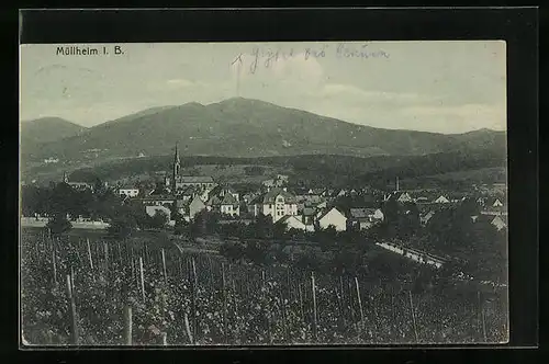 AK Müllheim i. B., Gesamtansicht