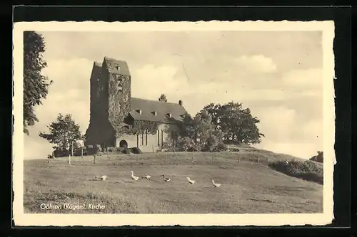 AK Göhren /Rügen, Kirche hinter einer Gänseschar