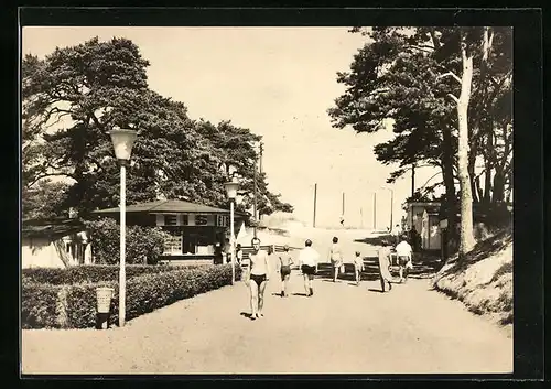 AK Trassenheide /Usedom, Weg zum Strand mit Badegästen und Eiskiosk