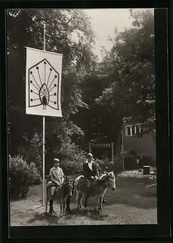 AK Ueckermünde, Tierpark, Eselreiten