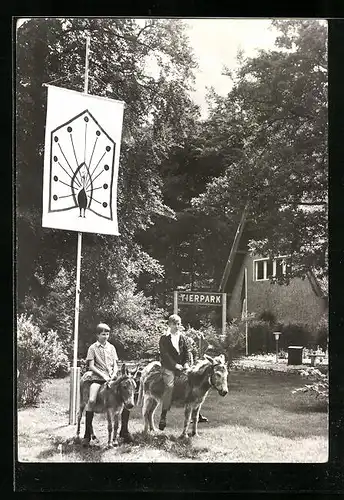 AK Ueckermünde, Eselreiten im Tierpark